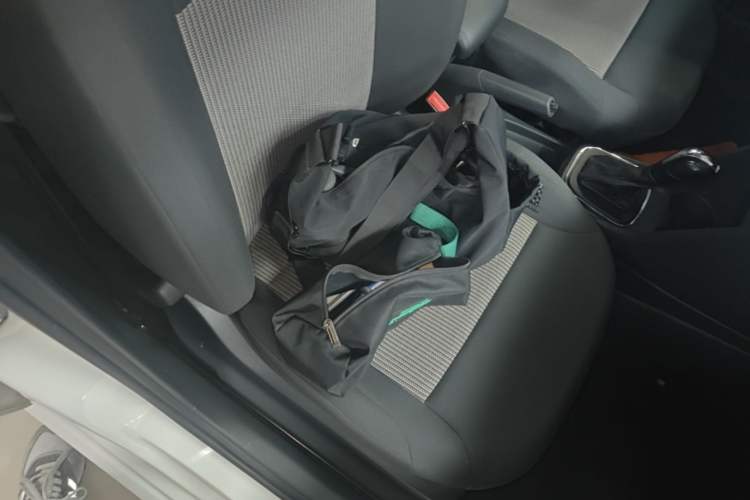 Used Volkswagen Polo 2018 1.5L Automatic Advanced Driving Model Right Front Seat