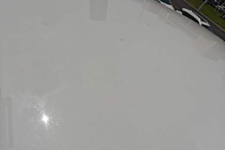 Used Volkswagen Polo 2018 1.5L Automatic Advanced Driving Model Roof
