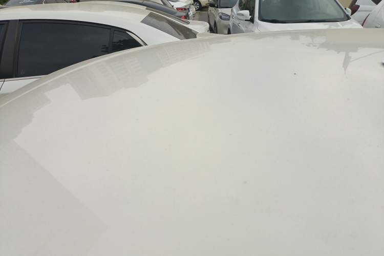 Used Volkswagen Polo 2018 1.5L Automatic Advanced Driving Model Roof