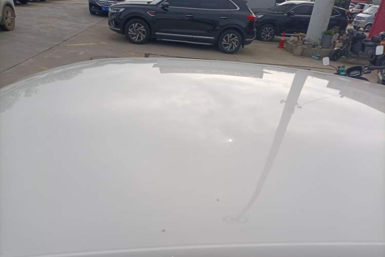 Used Volkswagen Polo 2018 1.5L Automatic Advanced Driving Model Roof