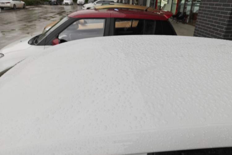 Used Volkswagen Polo 2018 1.5L Automatic Advanced Driving Model Roof