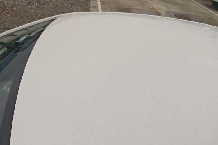 Used Volkswagen Polo 2018 1.5L Automatic Advanced Driving Model Roof