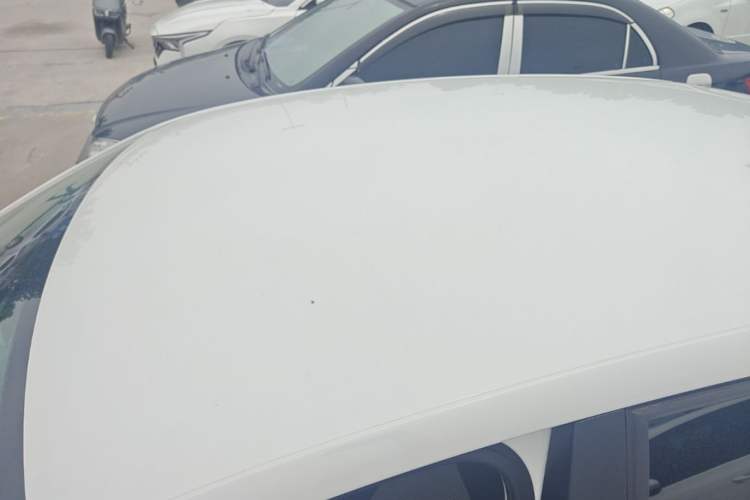 Used Volkswagen Polo 2018 1.5L Automatic Advanced Driving Model Roof