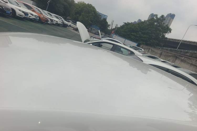 Used Volkswagen Polo 2018 1.5L Automatic Advanced Driving Model Roof