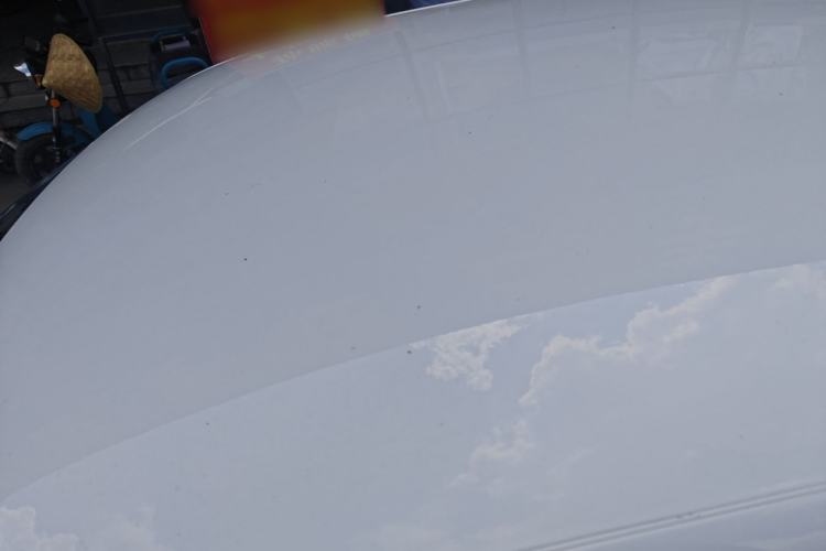 Used Volkswagen Polo 2018 1.5L Automatic Advanced Driving Model Roof