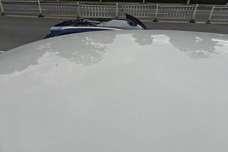 Used Volkswagen Polo 2018 1.5L Automatic Advanced Driving Model Roof