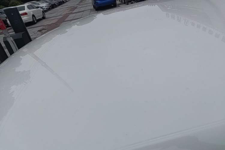 Used Volkswagen Polo 2018 1.5L Automatic Advanced Driving Model Roof