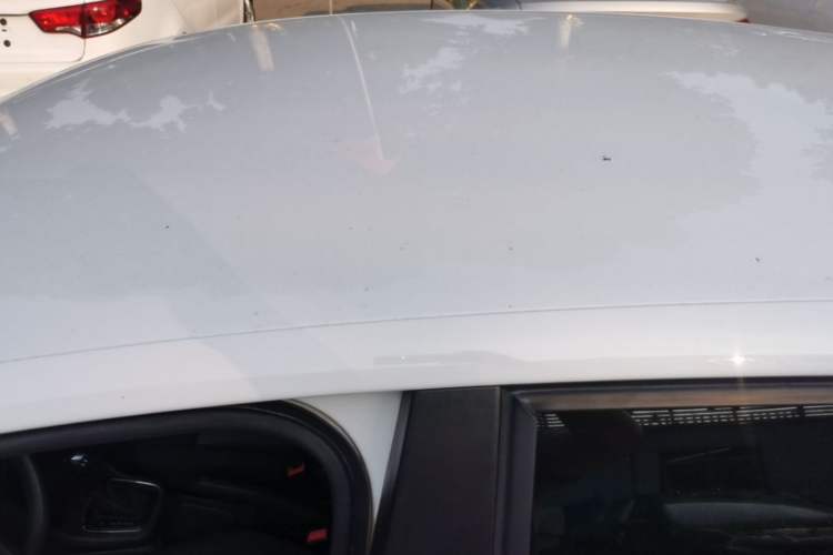 Used Volkswagen Polo 2018 1.5L Automatic Advanced Driving Model Roof