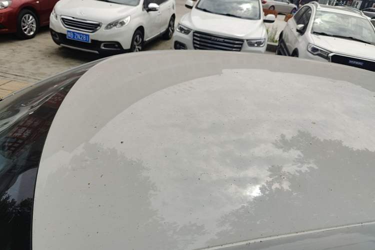 Used Volkswagen Polo 2018 1.5L Automatic Advanced Driving Model Roof