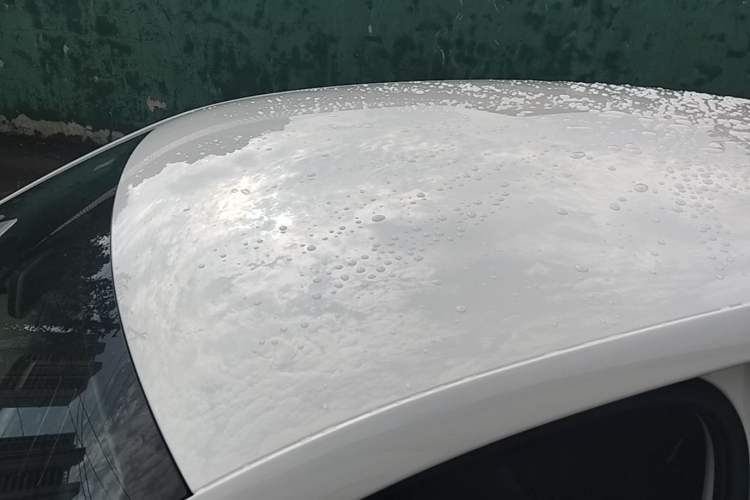 Used Volkswagen Polo 2018 1.5L Automatic Advanced Driving Model Roof