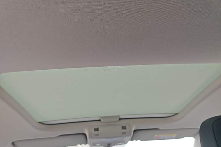 Used Volkswagen Polo 2019 Plus 1.5L Automatic Beats Trendy Cool Edition Headliner