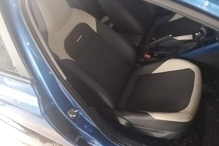 Used Volkswagen Polo 2019 Plus 1.5L Automatic Colorful Technology Edition Right Front Seat