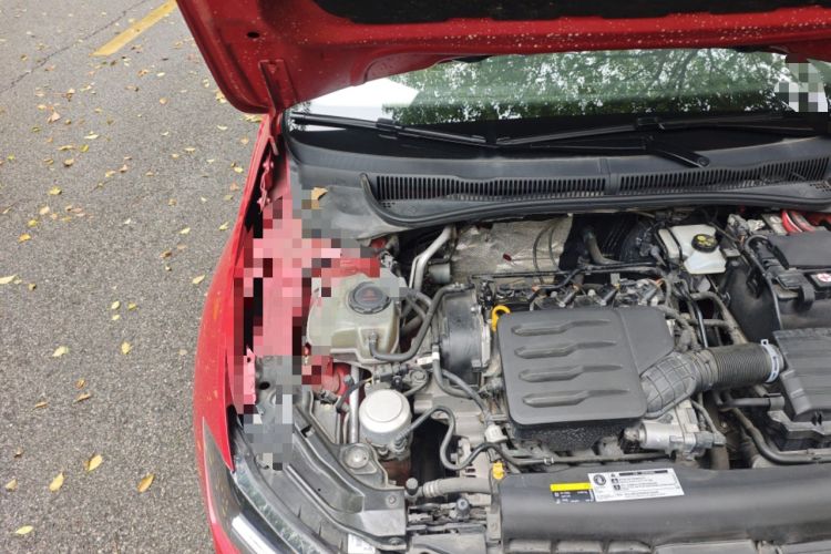 Used Volkswagen Polo 2019 Plus 1.5L Automatic Colorful Technology Edition Engine Bay Right