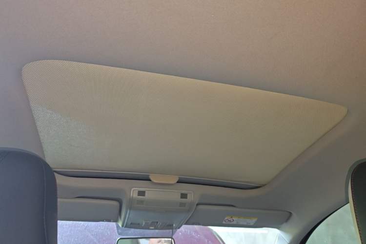 Used Volkswagen Polo 2019 Plus 1.5L Automatic Colorful Technology Edition Headliner
