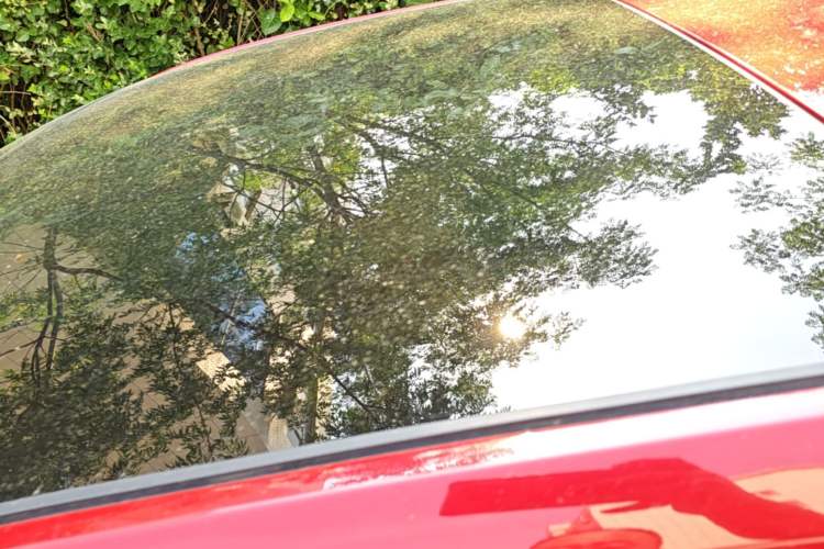 Used Volkswagen Polo 2019 Plus 1.5L Automatic Panoramic Enjoyment Edition Roof