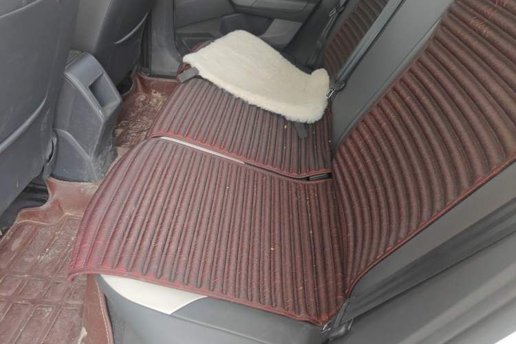 Used Volkswagen Polo 2019 Plus 1.5L Automatic Colorful Technology Edition Left Rear Seat