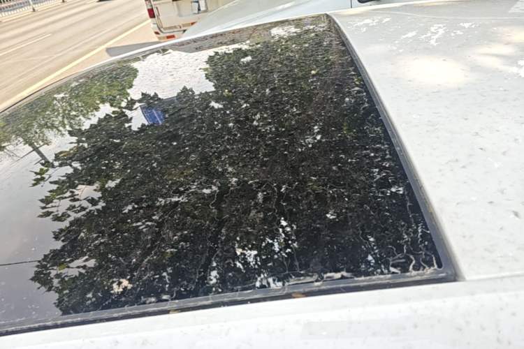 Used Volkswagen Polo 2019 Plus 1.5L Automatic Panoramic Enjoyment Edition Roof