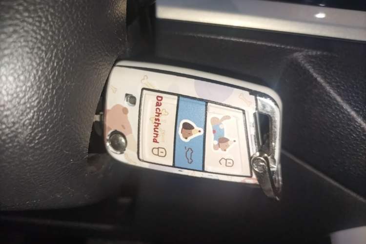 Used Volkswagen Polo 2019 Plus 1.5L Automatic Colorful Technology Edition Vehicle Key