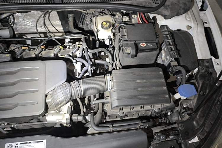 Used Volkswagen Polo 2021 Plus 1.5L Automatic Panoramic Enjoyment Edition Engine Bay Left