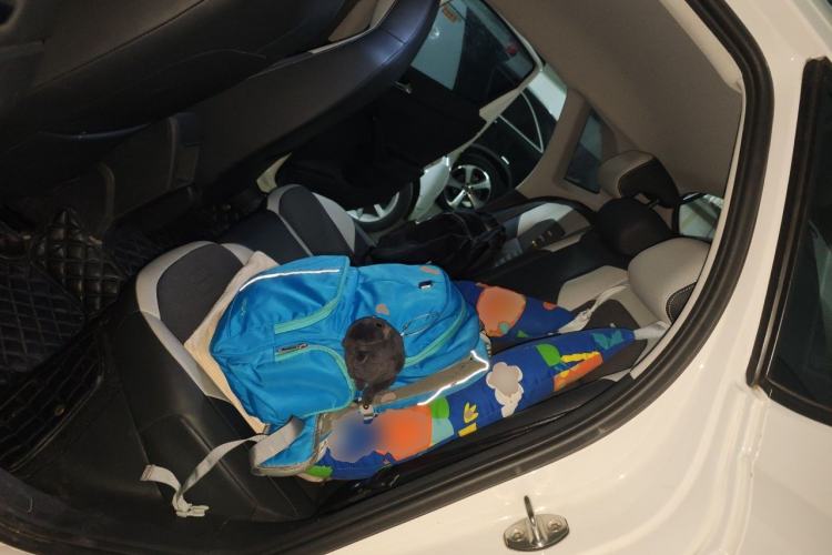 Used Volkswagen Polo 2021 Plus 1.5L Automatic Colorful Tech Edition Left Rear Seat