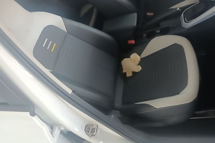 Used Volkswagen Polo 2021 Plus 1.5L Automatic Colorful Tech Edition Right Front Seat