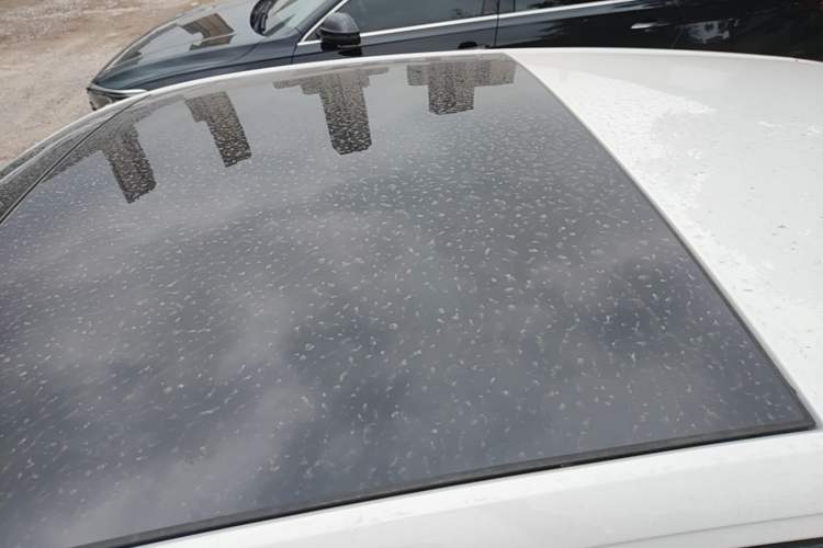 Used Volkswagen Polo 2021 Plus 1.5L Automatic Colorful Tech Edition Roof