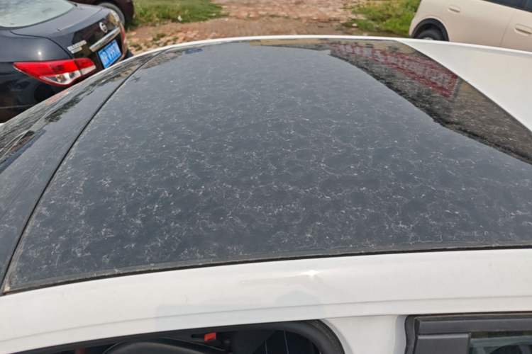 Used Volkswagen Polo 2021 Plus 1.5L Automatic Panoramic Enjoyment Edition Roof