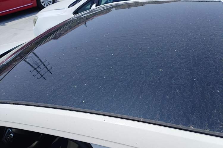 Used Volkswagen Polo 2021 Plus 1.5L Automatic Panoramic Enjoyment Edition Roof