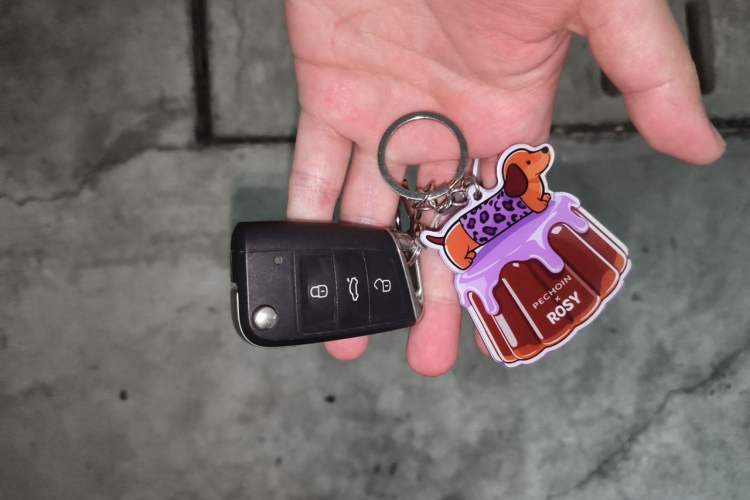Used Volkswagen Polo 2021 Plus 1.5L Automatic Colorful Tech Edition Vehicle Key