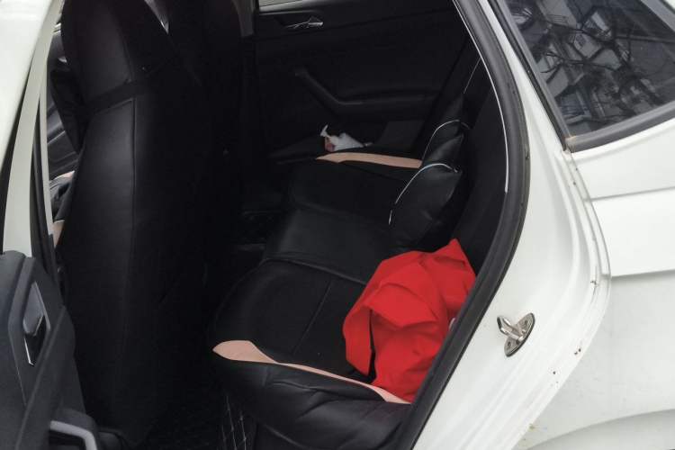 Used Volkswagen Polo 2023 Plus 1.5L Automatic Enjoy-the-Moment Edition Left Rear Seat