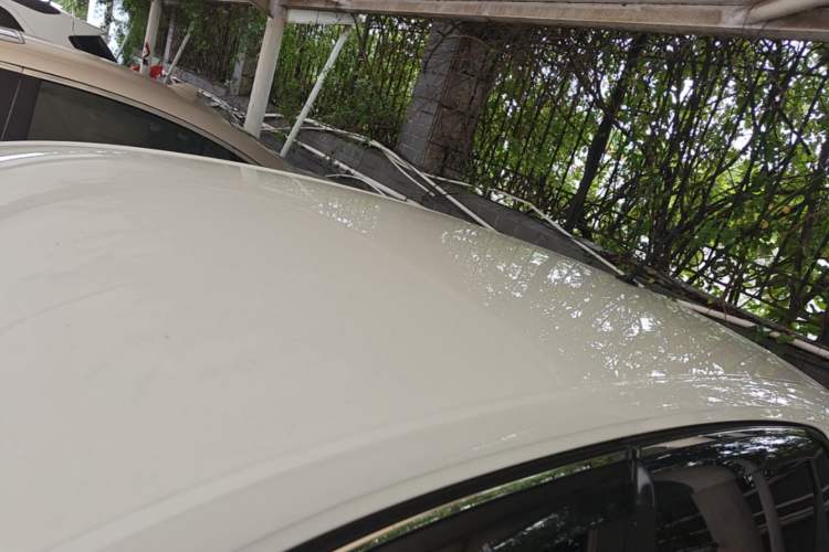 Used Volkswagen Polo 2023 Revised Plus 1.5L Automatic – Enjoy Life Edition Roof