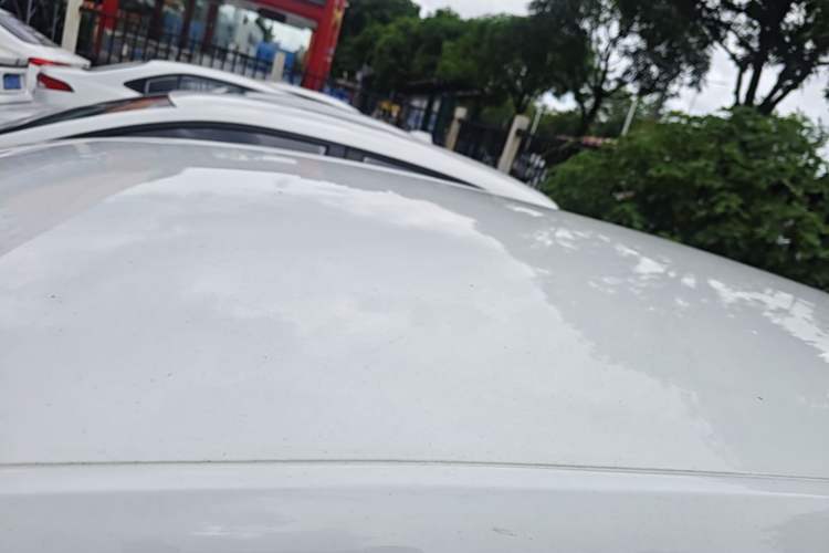 Used Volkswagen Polo 2023 Revised Plus 1.5L Automatic – Enjoy Life Edition Roof