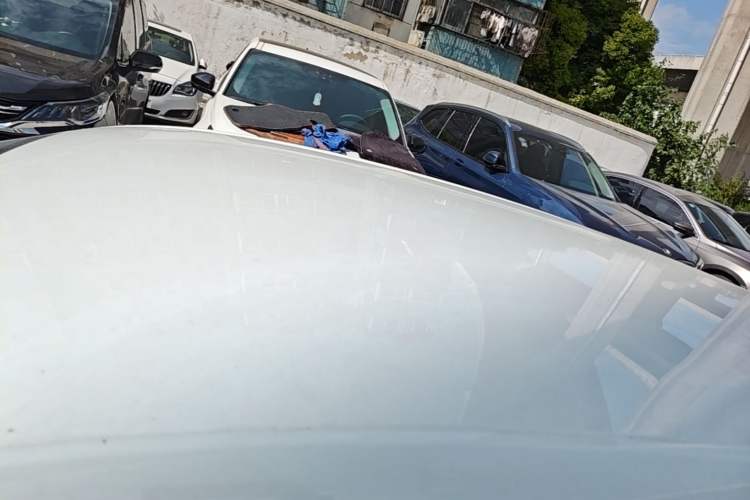 Used Volkswagen Polo 2023 Revised Plus 1.5L Automatic – Enjoy Life Edition Roof