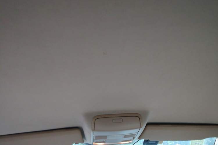 Used Volkswagen Sagitar 2006 1.6L Automatic Fashion Model Headliner