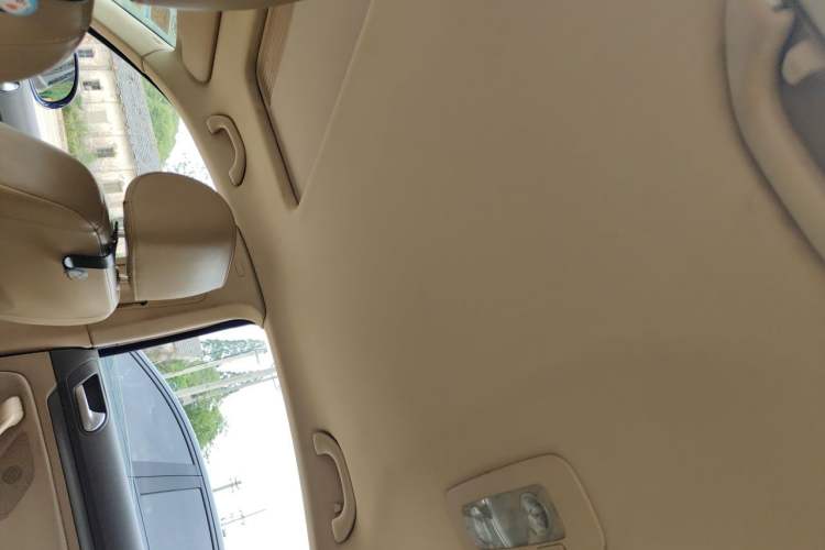Used Volkswagen Sagitar 2006 2.0L Automatic Fashion Edition Headliner