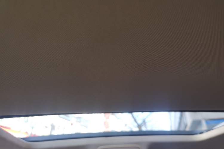 Used Volkswagen Sagitar 2006 2.0L Automatic Fashion Edition Headliner