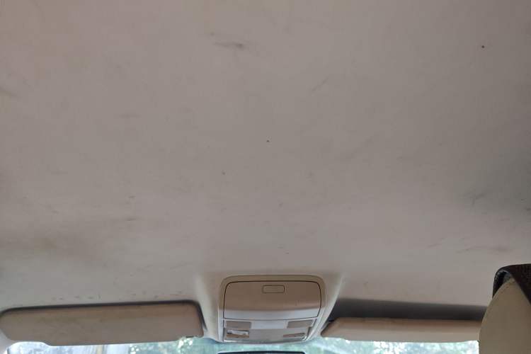 Used Volkswagen Sagitar 2006 1.6L Manual Fashion Model Headliner