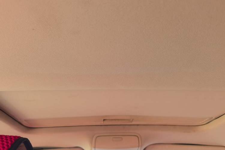Used Volkswagen Sagitar 2009 1.6L Automatic Comfort Edition Headliner