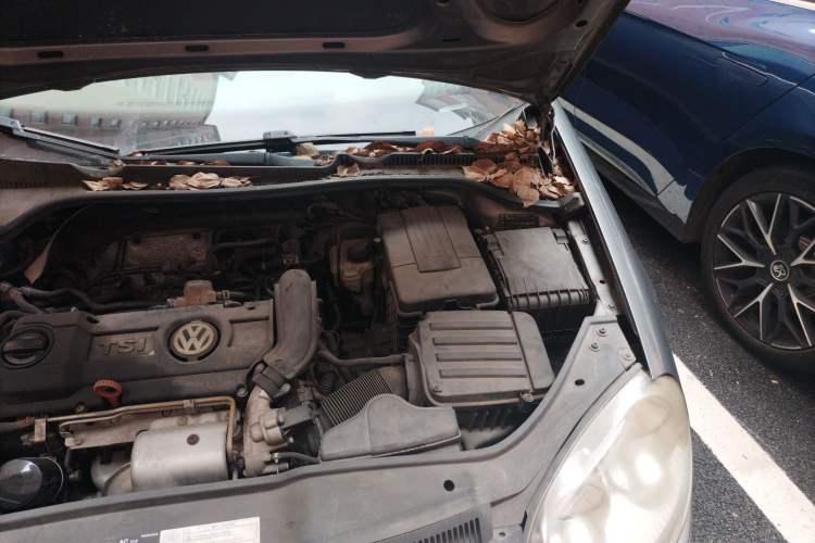 Used Volkswagen Sagitar 2010 1.4 TSI Automatic Tech Edition Engine Bay Left