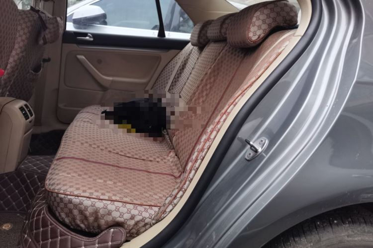 Used Volkswagen Sagitar 2011 1.4 TSI Automatic Tech Model Left Rear Seat