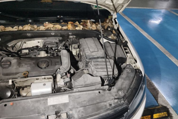 Used Volkswagen Sagitar 2012 1.4TSI Automatic Luxury Edition Engine Bay Left