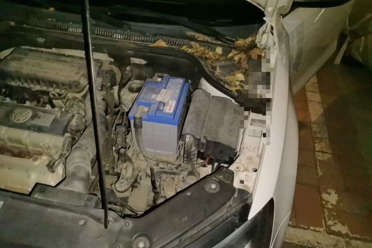Used Volkswagen Sagitar 2012 1.6L Manual Comfort Model Engine Bay Left