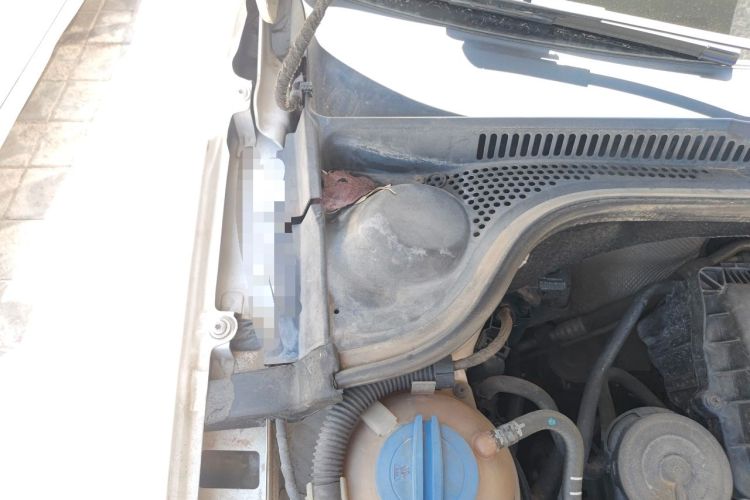 Used Volkswagen Sagitar 2012 1.6L Manual Comfort Model Engine Bay Right