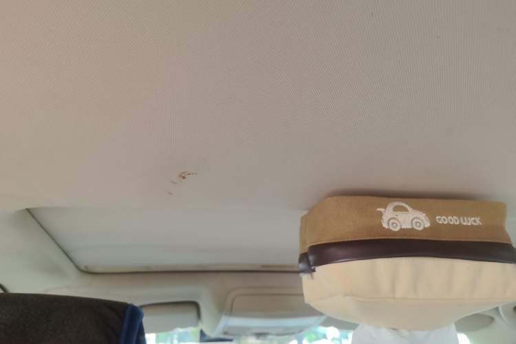 Used Volkswagen Sagitar 2012 1.4TSI Automatic Luxury Edition Headliner