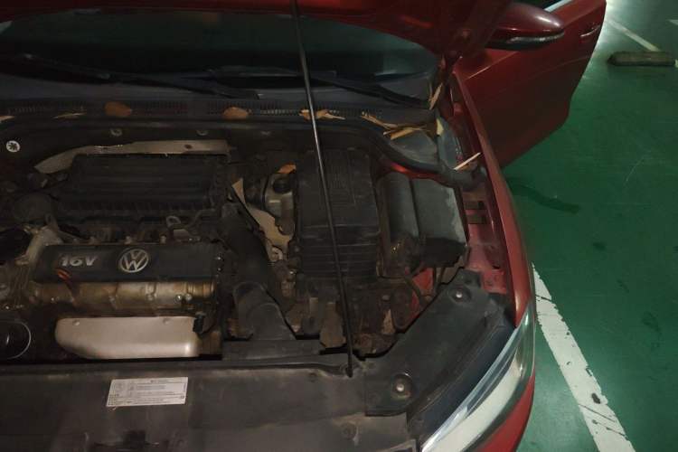 Used Volkswagen Sagitar 2014 1.6L Automatic Comfort Model Engine Bay Left
