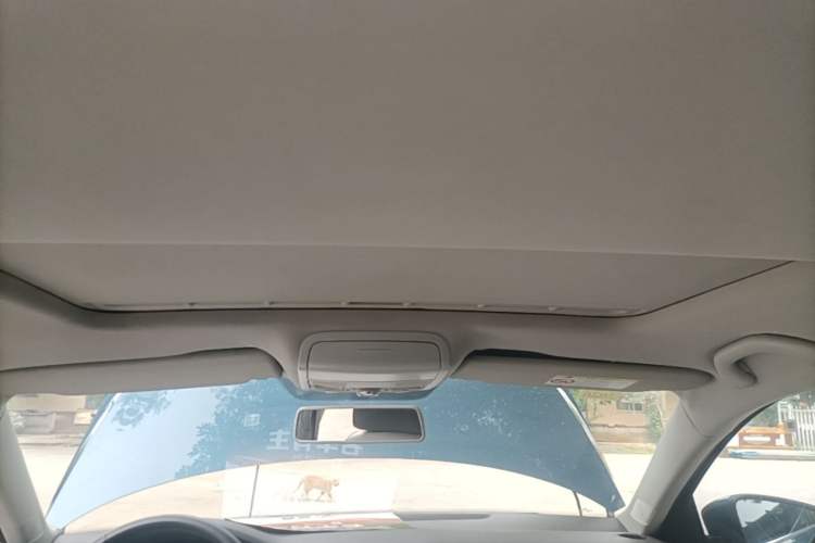 Used Volkswagen Sagitar 2015 230TSI Automatic Comfort Version Headliner