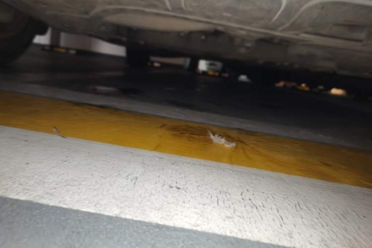 Used Volkswagen Sagitar 2015 1.6L Automatic Comfort Model Chassis Front