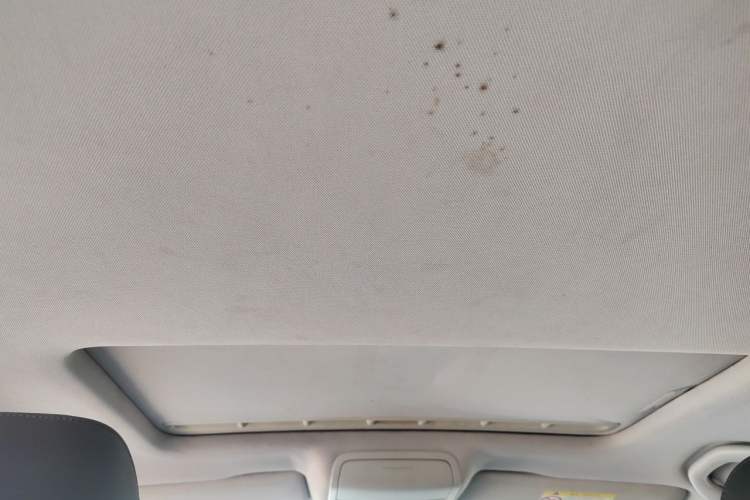 Used Volkswagen Sagitar 2016 230TSI 25th Anniversary Edition Headliner