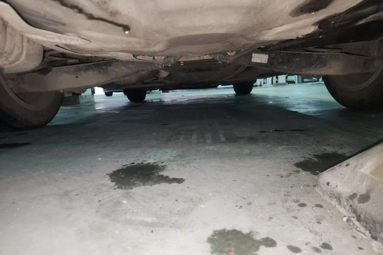 Used Volkswagen Sagitar 2017 230TSI Automatic Comfort Version Chassis Rear