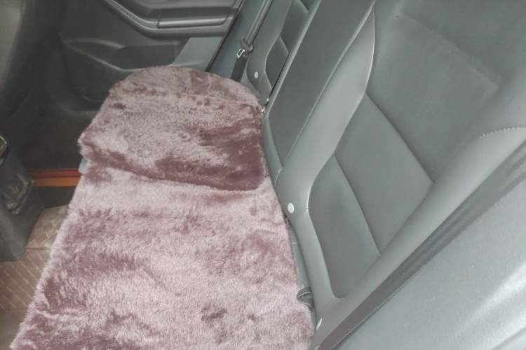 Used Volkswagen Sagitar 2017 230TSI Automatic Comfort Version Left Rear Seat